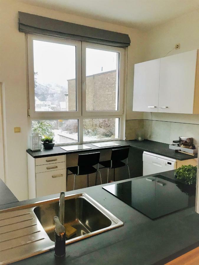Gite Le Cerf Pantin Saint-Hubert Exterior photo